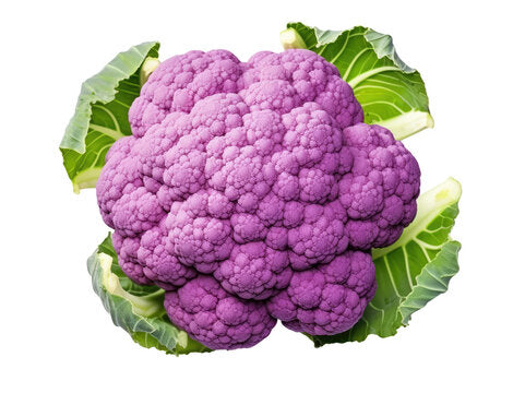 Cauliflower Purple - SYD