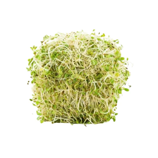 Alfalfa 125g - SYD