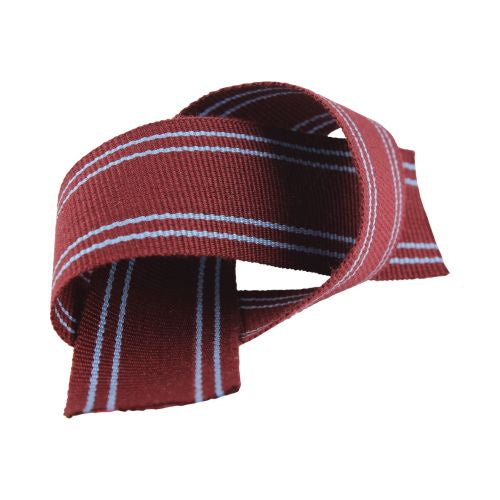 Senior Blazer Braid - 4m length