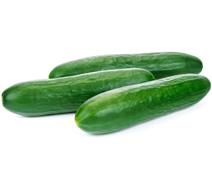 Lebanese Cucumber pack - SYD