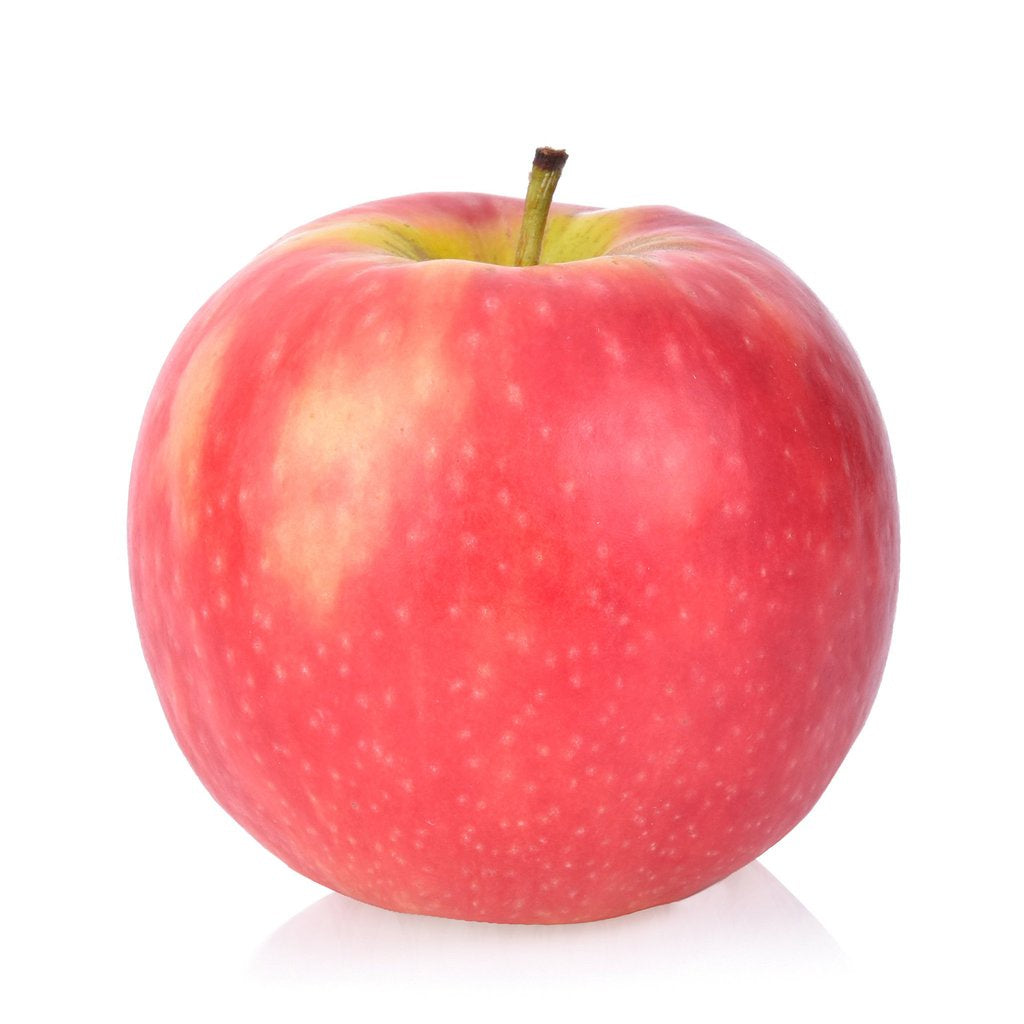 Apple Pink Lady each - SYD