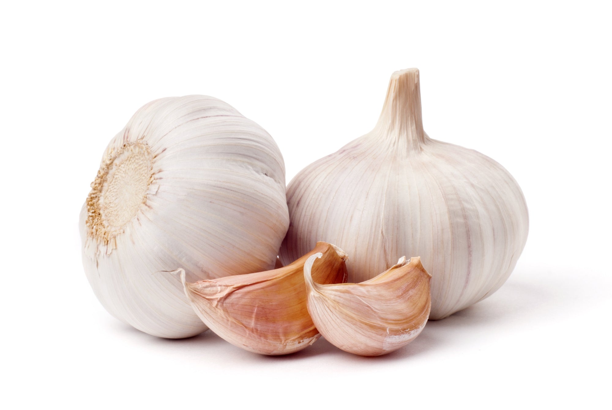 Garlic - SYD