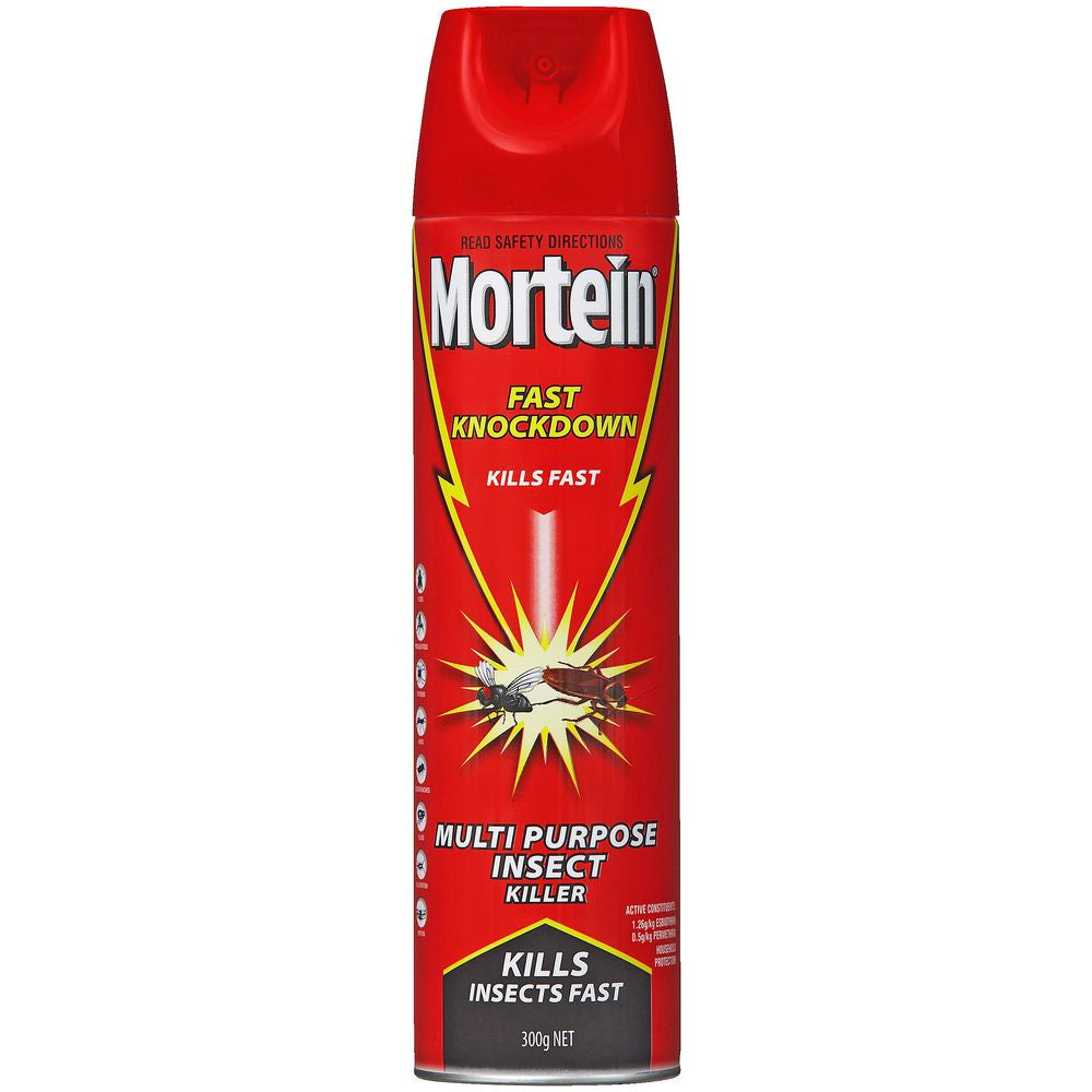 Mortein Fast Knockdown Insect Spray 300g