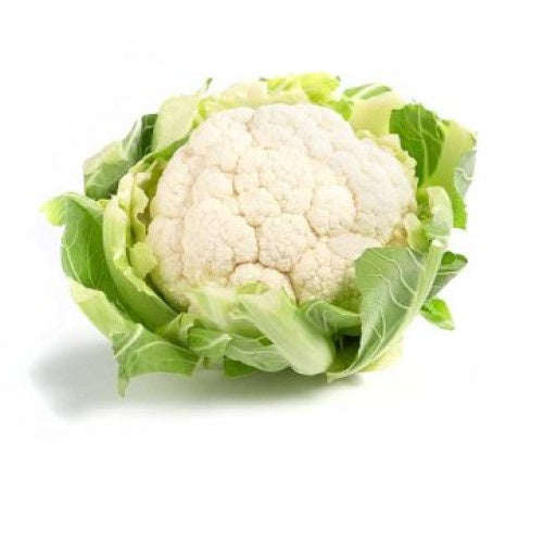Cauliflower - SYD