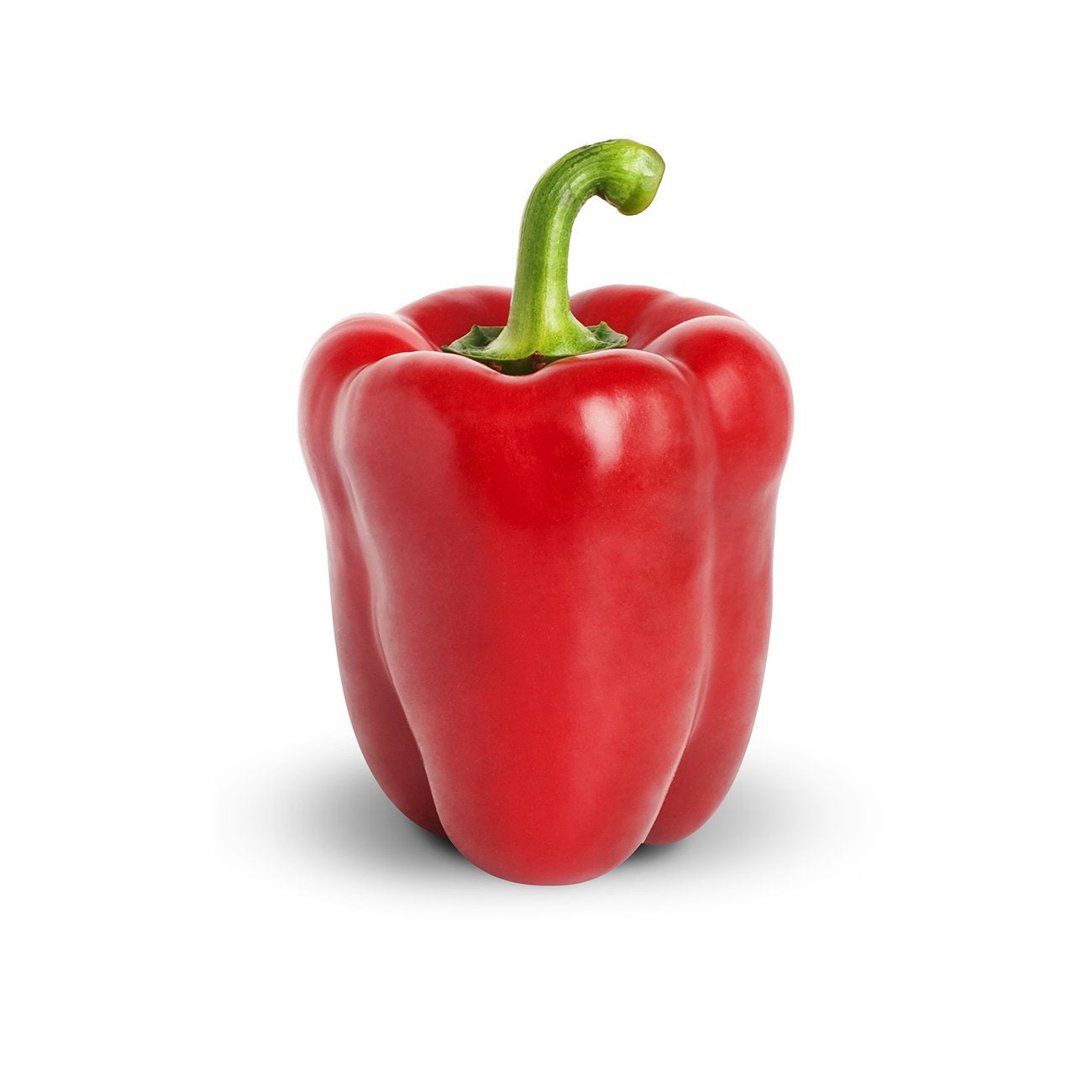 Red Capsicum - SYD