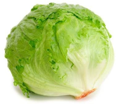 Lettuce Iceberg - SYD