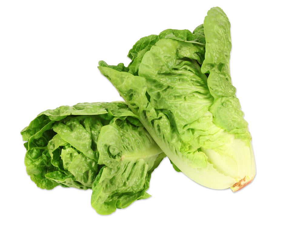 Lettuce Baby Cos 2pk - SYD